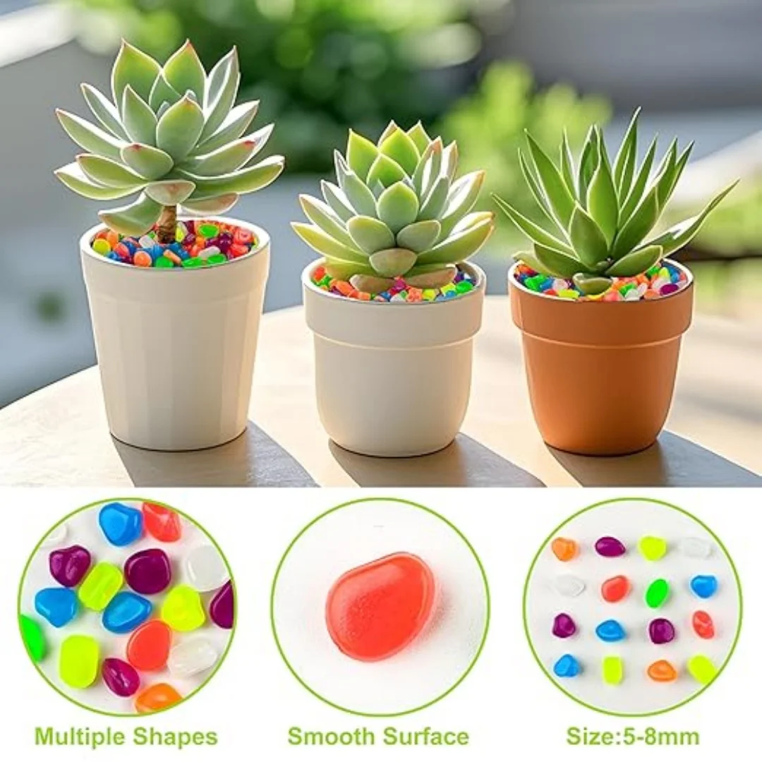 500Pcs Glow in The Dark Garden - Aquarium Fish Saltwater のレビューと価格
