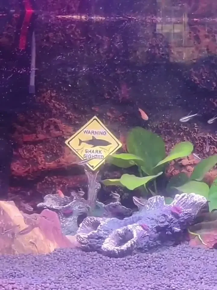 Resin Aquarium Decorative Orna - Aquarium Fish Shark のレビューと価格